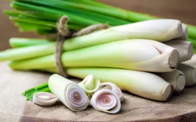 What is Lemon Grass and how does it help with treating Gout